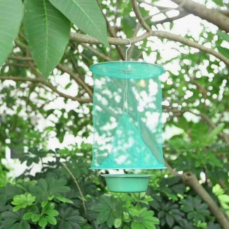 Fly Catcher for Indoor or Outdoor